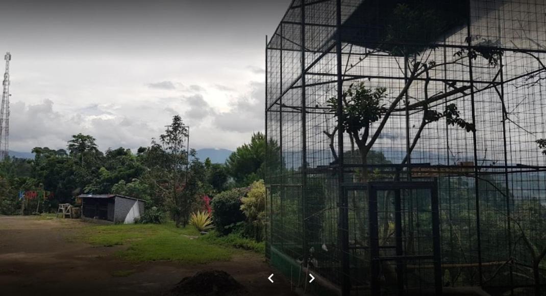 Villa Chacha At Macarena, Megamendung Zewnętrze zdjęcie